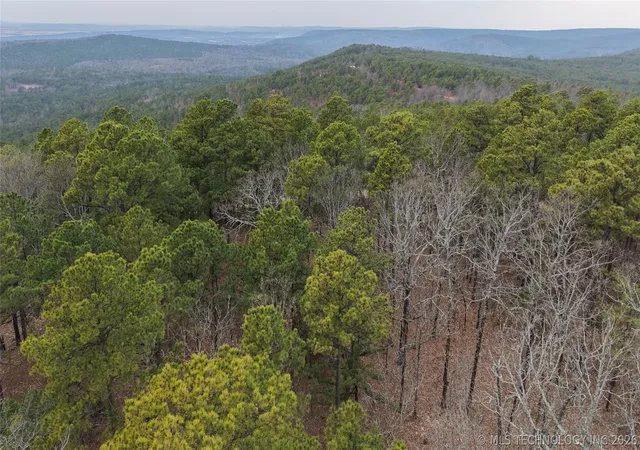Photo 3 of Land for sale at Northeast 1060, Panola, OK 74559 | MLS# 2618159 | Listing updated on 2026-08-20