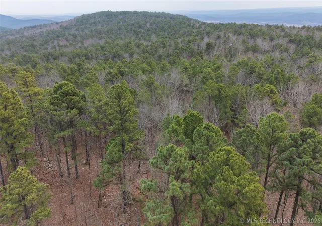 Photo 4 of Land for sale at Northeast 1060, Panola, OK 74559 | MLS# 2618159 | Listing updated on 2026-08-20