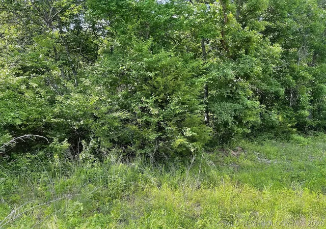 Homes for sale in Cookson, OK | S Hickory Ln, Cookson, OK 74427 | MLS# 2618336