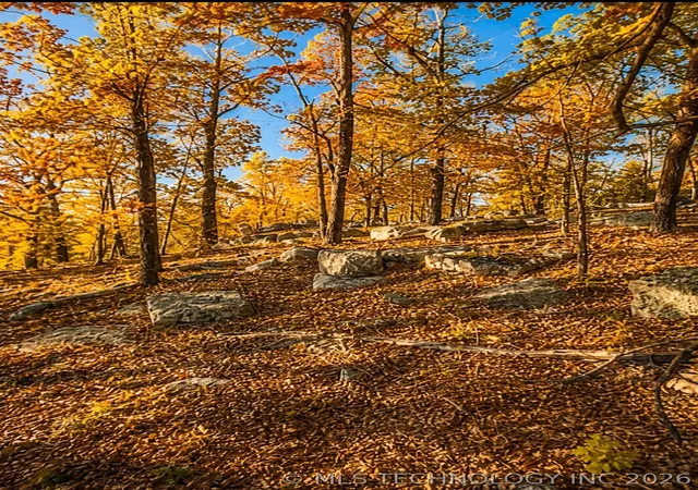Photo 2 of Land for sale at 1 Mile Rd, Stigler, OK 74462 | MLS# 2618373 | Listing updated on 2026-08-20