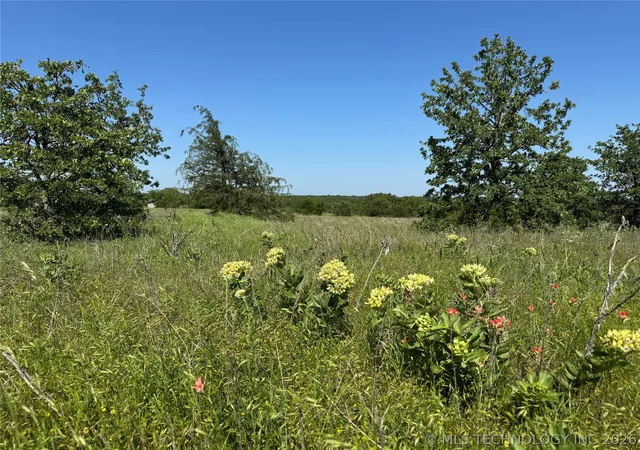 Homes for sale in Healdton, OK | 2668 Buck Horn Rd, Healdton, OK 73438 | MLS# 2619498