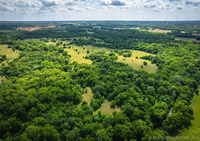Homes for sale in Roff, OK | 9006 County Road 1650, Roff, OK 74865 | MLS# 2619841