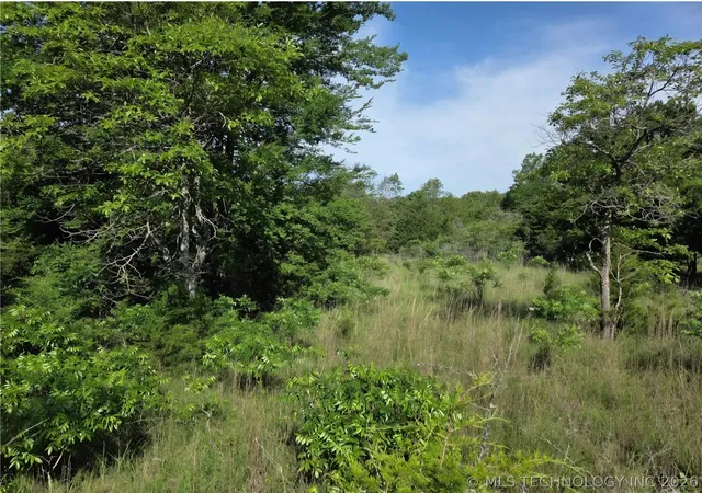 Photo 3 of Land for sale at 00 Centerpoint Rd, Atoka, OK 74525 | MLS# 2618702 | Listing updated on 2026-07-22