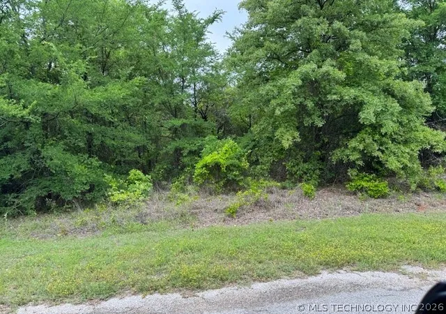 Homes for sale in Burneyville, OK | 0 Calvary, Burneyville, OK 73430 | MLS# 2620524