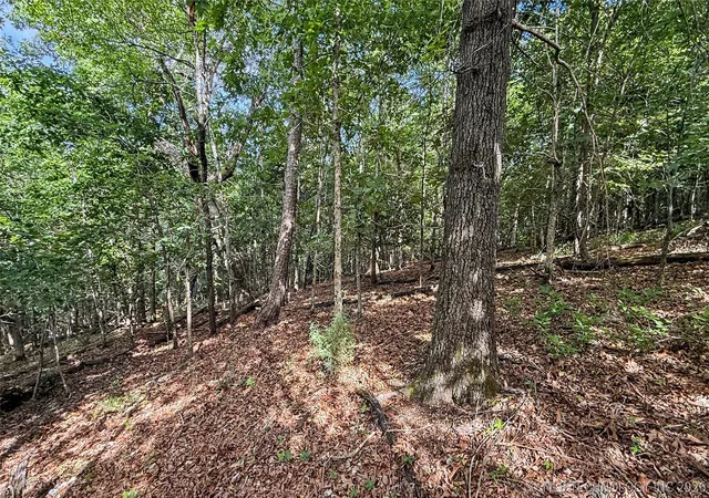 Homes for sale in Kansas, OK | 1235 Pheasant Run Rd, Kansas, OK 74347 | MLS# 2620767