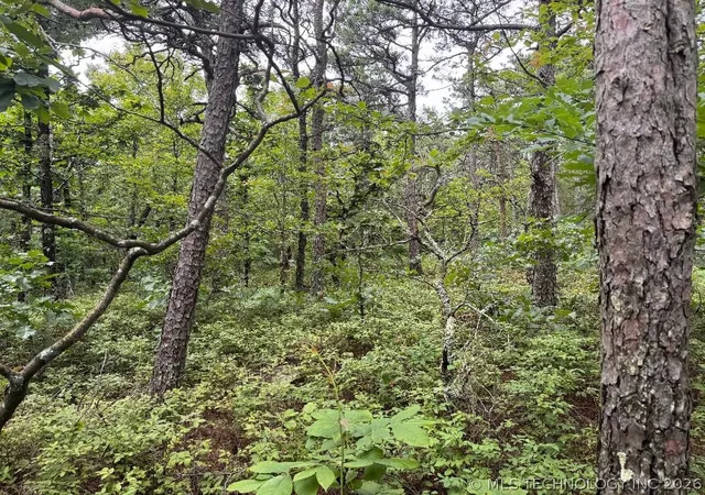 4th image of Kiamichi Mountain Rdg, Smithville, OK 74957 | MLS# 2620798