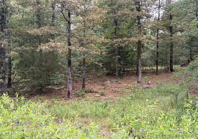 Photo 14 of Land for sale at 470662 E 1020 Road, Sallisaw, OK 74955 | MLS# 2620681 | Listing updated on 2026-08-26