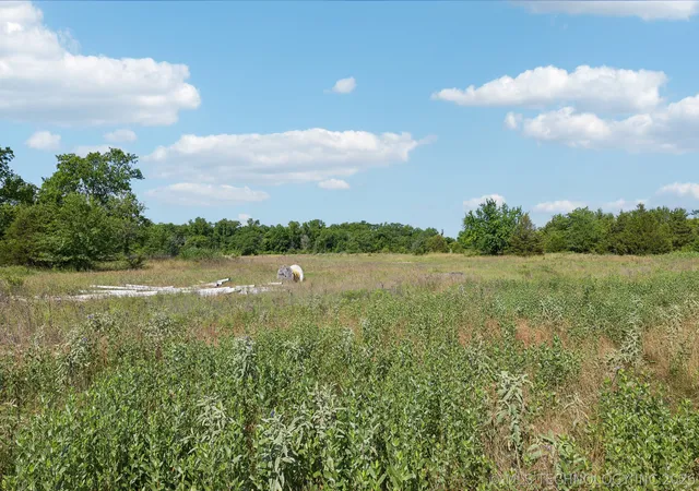 Photo 3 of Land for sale at 16800 E 11th Street, Tulsa, OK 74108 | MLS# 2621190 | Listing updated on 2026-06-09
