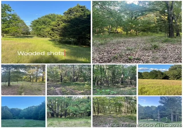 Homes for sale in Antlers, OK | N Dozier Rd, Antlers, OK 74523 | MLS# 2621146