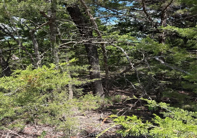 Photo 3 of Land for sale at 11 Stagecoach Trl, Osage, OK 74054 | MLS# 2620968 | Listing updated on 2026-08-20