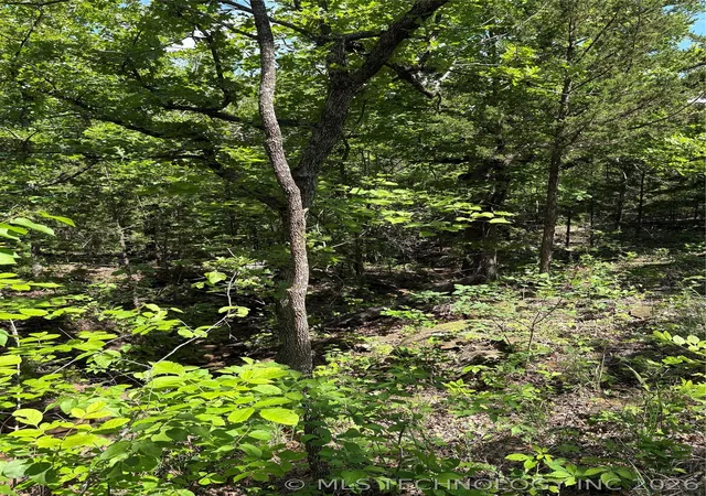 Photo 3 of Land for sale at 12 Stagecoach Trl, Osage, OK 74054 | MLS# 2620980 | Listing updated on 2026-08-20