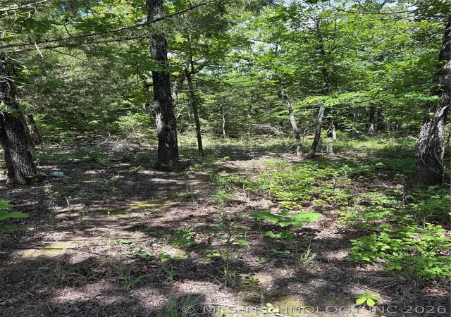 Photo 3 of Land for sale at 13 Stagecoach Trl, Osage, OK 74054 | MLS# 2621249 | Listing updated on 2026-08-20