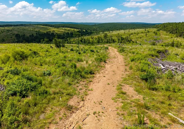 Homes for sale in Antlers, OK | County Road 1750 Road, Antlers, OK 74567 | MLS# 2621256