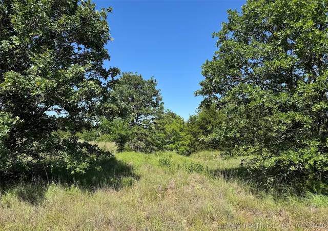 Homes for sale in Healdton, OK | 2670 Buck Horn Rd, Healdton, OK 73438 | MLS# 2621573