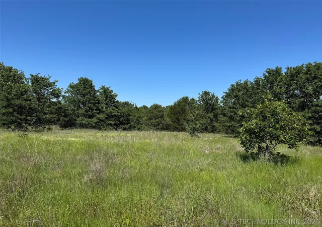Homes for sale in Healdton, OK | 2664 Buck Horn Rd, Healdton, OK 73438 | MLS# 2621580