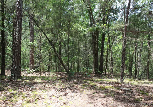 Photo 3 of Land for sale at 5 E 1909 Road, Antlers, OK 74523 | MLS# 2621644 | Listing updated on 2026-06-12