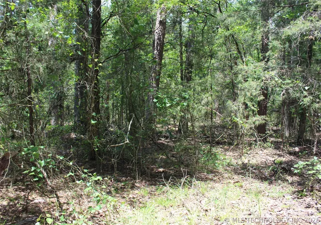 Photo 3 of Land for sale at 5 E 1909 Road, Antlers, OK 74523 | MLS# 2621644 | Listing updated on 2026-06-12