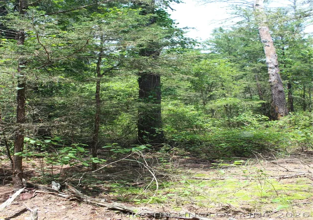 Photo 4 of Land for sale at 5 E 1909 Road, Antlers, OK 74523 | MLS# 2621644 | Listing updated on 2026-06-12
