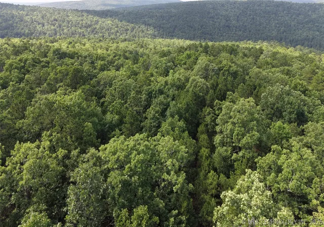 Photo 1 of Land for sale at Ne 1060 Road, Panola, OK 74559 | MLS# 2621792 | Listing updated on 2026-07-31