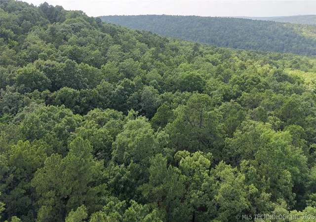 Photo 4 of Land for sale at NE 1060 Road, Panola, OK 74559 | MLS# 2621792 | Listing updated on 2026-07-31