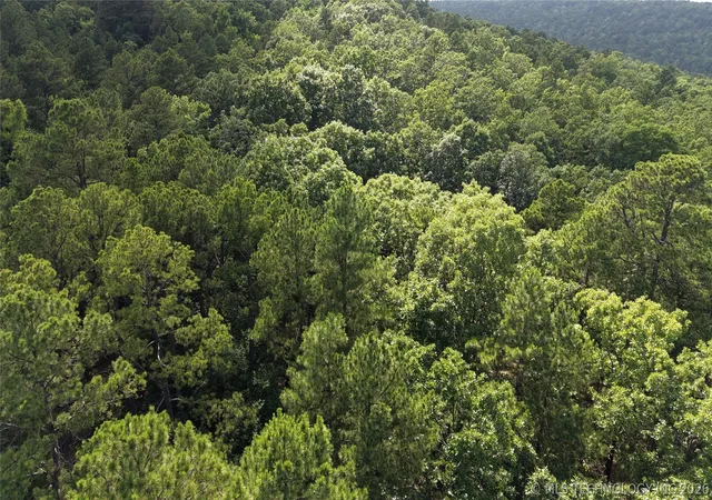 Photo 3 of Land for sale at 1060, Panola, OK 74559 | MLS# 2621802 | Listing updated on 2026-07-28