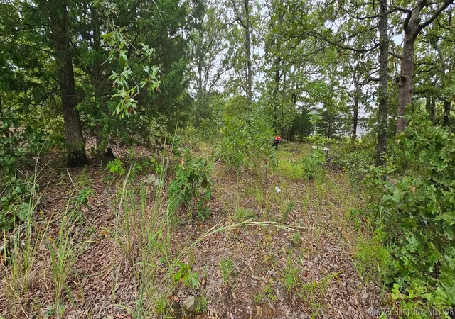 Photo 1 of Land for sale at Osage St, Sand Springs, OK 74063 | MLS# 2621749 | Listing updated on 2026-08-20