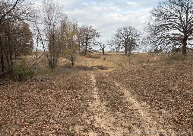 Photo 3 of Land for sale at Nelson, Soper, OK 74759 | MLS# 2621851 | Listing updated on 2026-08-21
