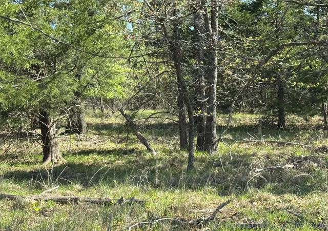 5th image of E Blue Creek Rd, Mc Alester, OK 74501 | MLS# 2621922