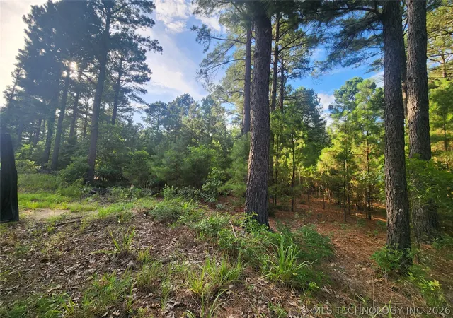 Homes for sale in Hugo, OK | N County Road, Hugo, OK 74743 | MLS# 2622078