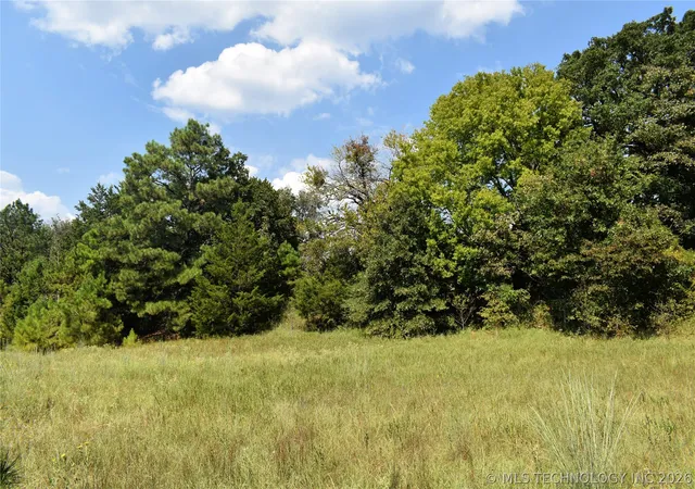 Homes for sale in Valliant, OK | 52 Peaceful Home Rd, Valliant, OK 74764 | MLS# 2621812