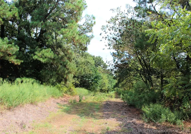 Homes for sale in Valliant, OK | 52 Peaceful Home Rd, Valliant, OK 74764 | MLS# 2621812