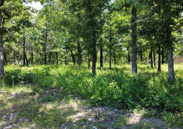 Photo 4 of Land for sale at 29995 S Qualls Rd, Park Hill, OK 74451 | MLS# 2622497 | Listing updated on 2026-09-15