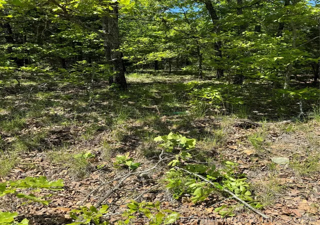 Photo 1 of Land for sale at 27 S 4532 Road, Vian, OK 74962 | MLS# 2622586 | Listing updated on 2026-08-20