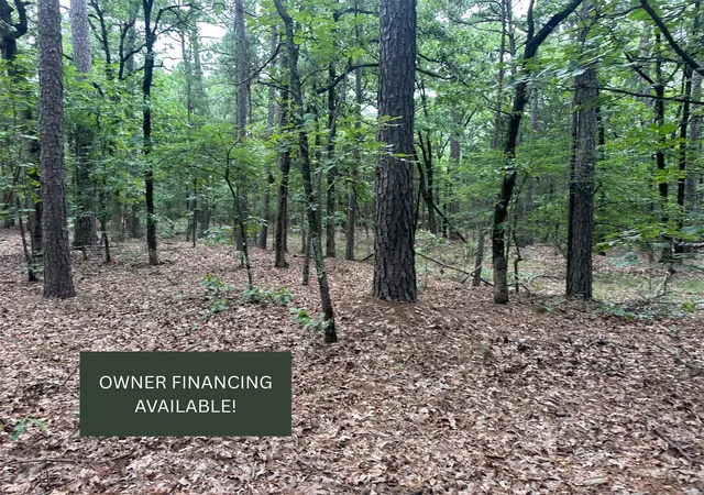 1st image of 001 Johns Valley Rd, Moyers, OK 74557 | MLS# 2622310