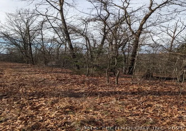Homes for sale in Vian, OK | S 4530 Rd, Vian, OK 74962 | MLS# 2622587