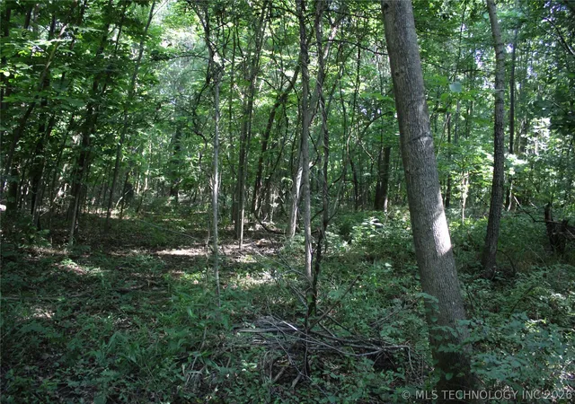 2nd image of 0000 Hwy 28, Langley, OK 74350 | MLS# 2622777