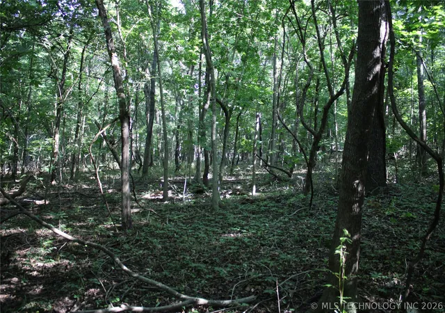 3rd image of 0000 Hwy 28, Langley, OK 74350 | MLS# 2622777