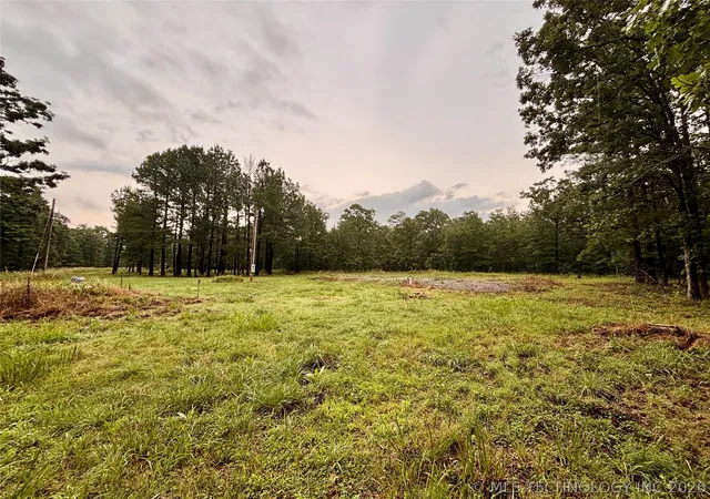 4th image of 10672 E 483, Spavinaw, OK 74366 | MLS# 2621973