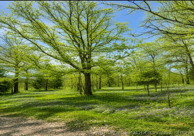 Photo 10 of Land for sale at 4547 Road, Vian, OK 74962 | MLS# 2623051 | Listing updated on 2026-08-28