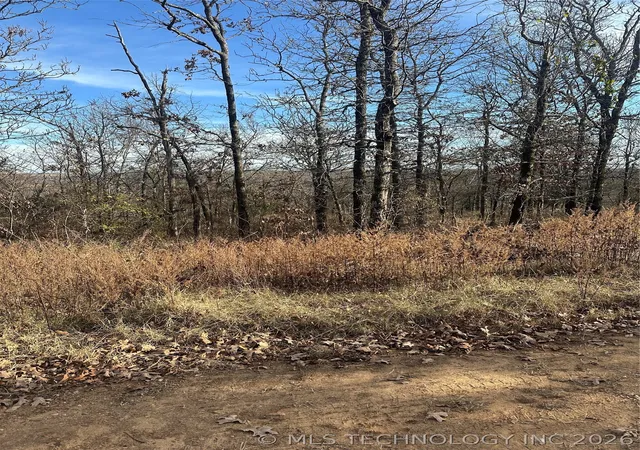 Homes for sale in Vian, OK | S 4557 Rd, Vian, OK 74962 | MLS# 2623555
