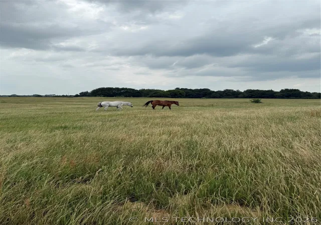 Photo 23 of Land for sale at 2 Dairy Dr, Hendrix, OK 74741 | MLS# 2623673 | Listing updated on 2026-10-01
