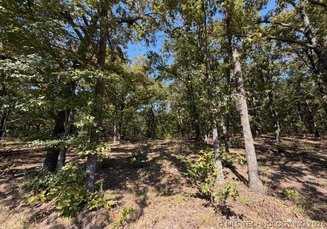 3rd image of 6 Brandy Ln, Tishomingo, OK 73460 | MLS# 2623702