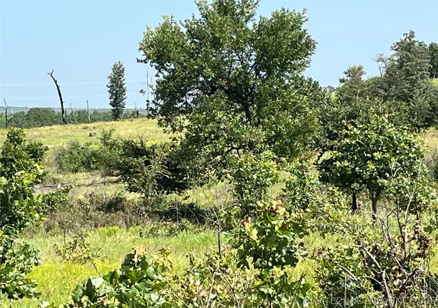 Homes for sale in Stringtown, OK | Hwy 69-75 Hwy, Stringtown, OK 74525 | MLS# 2623951