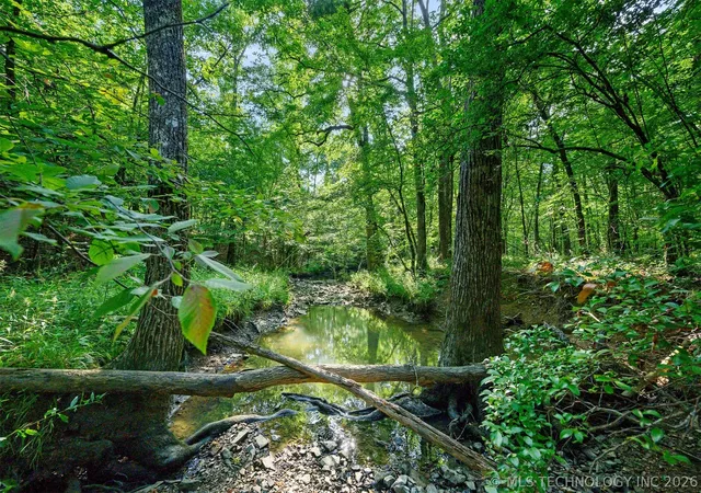 3rd image of 66 Aged Acacia Trl, Broken Bow, OK 74728 | MLS# 2624019