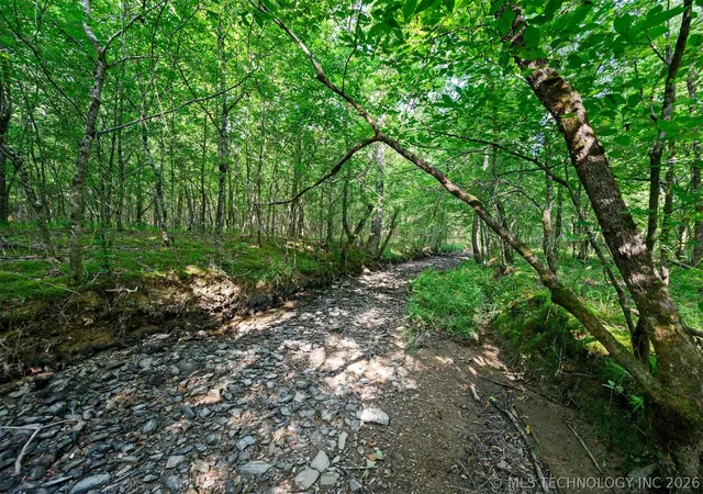 4th image of 66 Aged Acacia Trl, Broken Bow, OK 74728 | MLS# 2624019