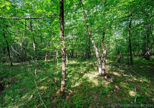 5th image of 66 Aged Acacia Trl, Broken Bow, OK 74728 | MLS# 2624019