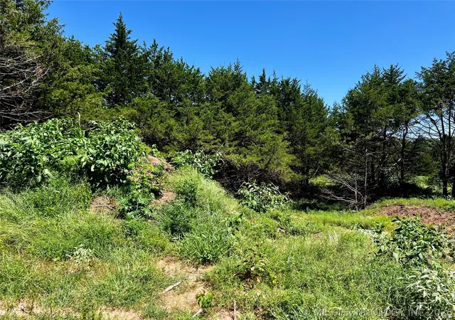 Photo 3 of Land for sale at 8 Dynamite Rd, Agra, OK 74824 | MLS# 2624072 | Listing updated on 2026-07-24