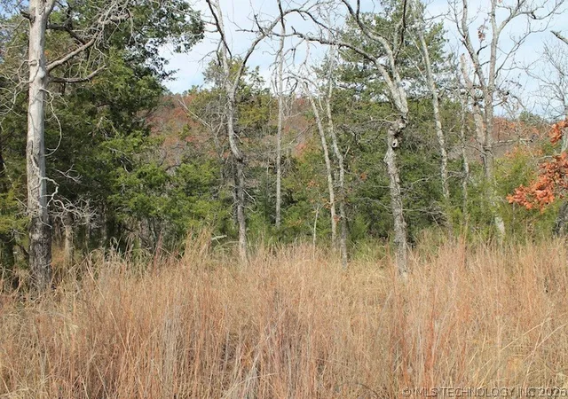 3rd image of Indian Ridge, Pittsburg, OK 74560 | MLS# 2622846