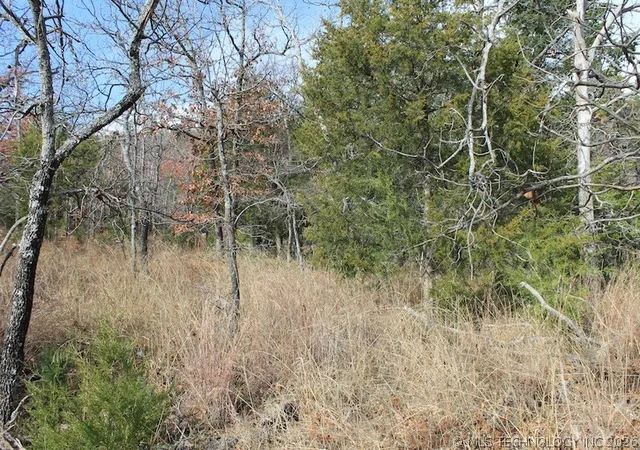 4th image of Indian Ridge, Pittsburg, OK 74560 | MLS# 2622846