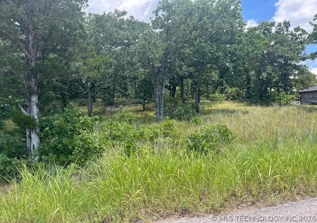 1st image of Brandi Ln, Tishomingo, OK 73460 | MLS# 2624493